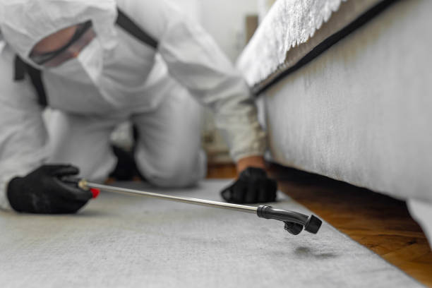 Professional Cockroach Control technician working in El Rancho, NM